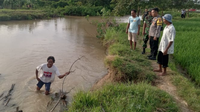 3 Cara Budidaya Kolam Wisata Pemancingan Belut